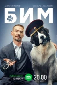 Постер БИМ 