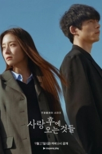 Постер Что приходит после любви (Sarang Hue Oneun Geotdeul)