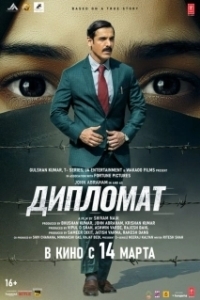 Постер Дипломат (The Diplomat)
