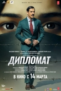 Постер Дипломат (The Diplomat)