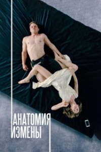 Постер Анатомия измены 
