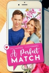 Постер Идеальное сходство (A Perfect Match)