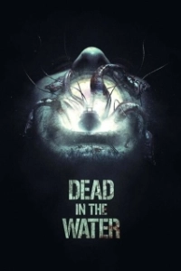 Постер Смерть на воде (Dead in the Water)