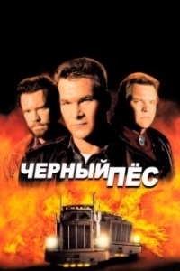 Постер Чёрный пёс 