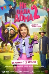 Постер Не одна дома 2 