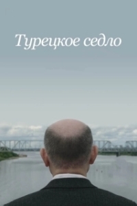 Постер Турецкое седло (Sella Turcica)
