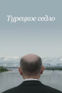 Постер Турецкое седло (Sella Turcica)