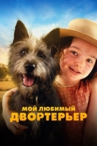 Постер Мой любимый двортерьер (Runt)