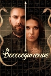Постер Воссоединение (Vuslat)