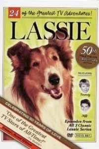 Постер Лэсси (Lassie)