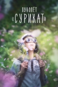 Постер Лунолет Сурикат (Meerkat Maantuig)