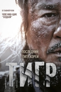 Постер Тигр (Daeho)