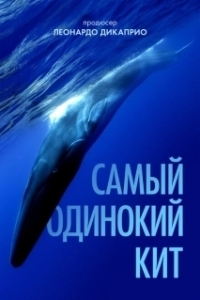 Постер Самый одинокий кит на планете: в поисках Пятидесятидвухгерцового кита (The Loneliest Whale: The Search for 52)