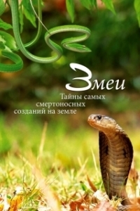 Постер Змеи. Тайны самых смертоносных созданий на земле (Snakes, Secrets of Nature’s Deadliest Creatures)