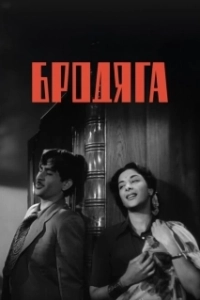Постер Бродяга (The Stray)