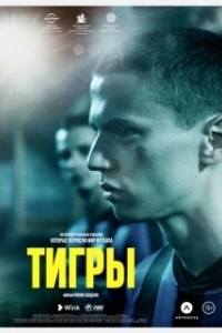 Постер Тигры (Tigrar)
