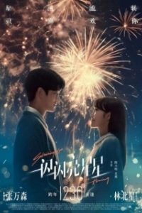 Постер Мерцает, мерцает яркая звезда (Shining for One Thing)