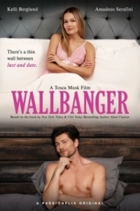 Постер Разрушитель стен (Wallbanger)