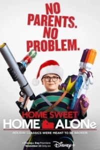 Постер Один дома 6 (Home Alone 6)