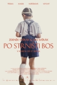 Постер Босиком по стерне (Po strnisti bos)
