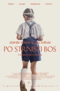 Постер Босиком по стерне (Po strnisti bos)