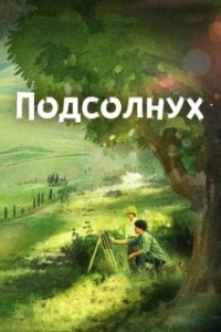 Постер Подсолнух