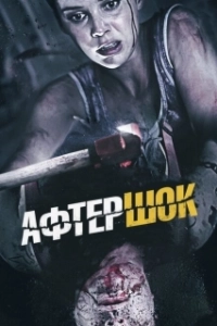 Постер Афтершок (Aftershock)