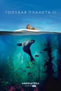 Постер Голубая планета 2 (BBC Earth Blue Planet II)