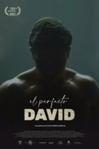 Постер Идеальный Давид (El perfecto David)