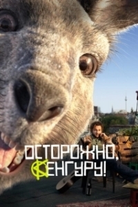 Постер Осторожно, кенгуру! (Die Känguru-Verschwörung)