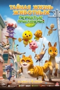 Постер Тайная жизнь животных: Пернатые приключения (KATURI the Movie: The Big City Adventure)