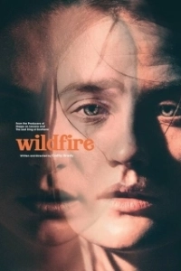 Постер Из огня да в полымя (Wildfire)