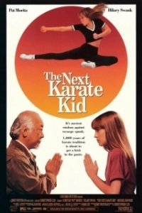 Постер Парень каратист 4 (The Next Karate Kid)