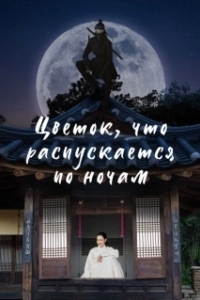 Постер Ночной цветок (Bame pineun kkot)