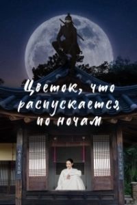 Постер Ночной цветок (Bame pineun kkot)