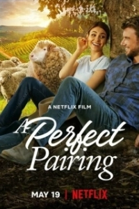 Постер Идеальное сочетание (The Perfect Pairing)