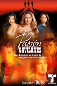 Постер Тайная страсть (Pasion de gavilanes)