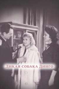 Постер Дикая собака динго